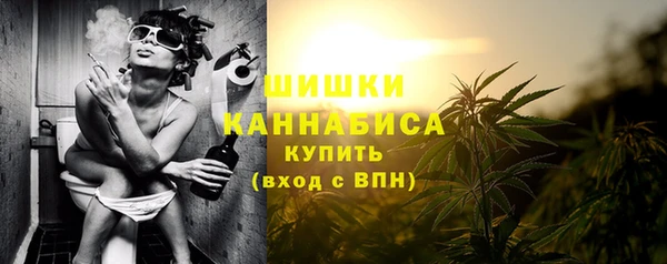 сатива Бронницы