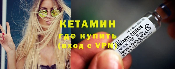 сатива Бронницы