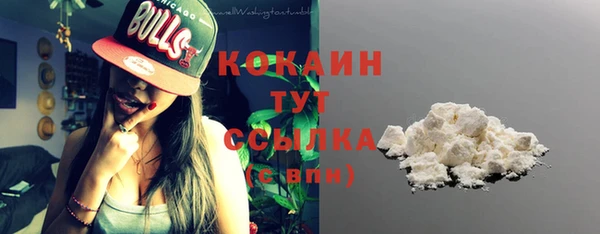 хмурый Бородино