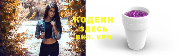 хмурый Бородино