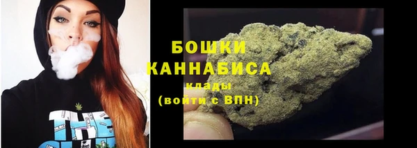 хмурый Бородино