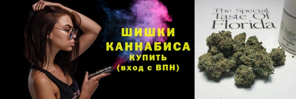 сатива Бронницы