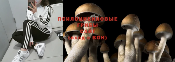 хмурый Бородино