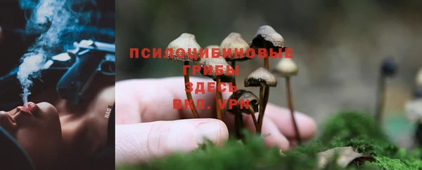 apvp Бугульма