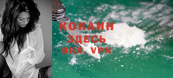 хмурый Бородино