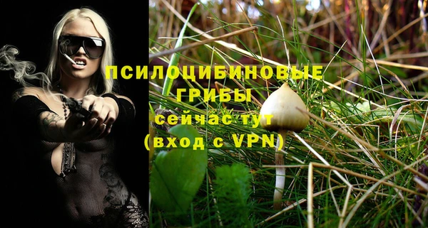 apvp Бугульма